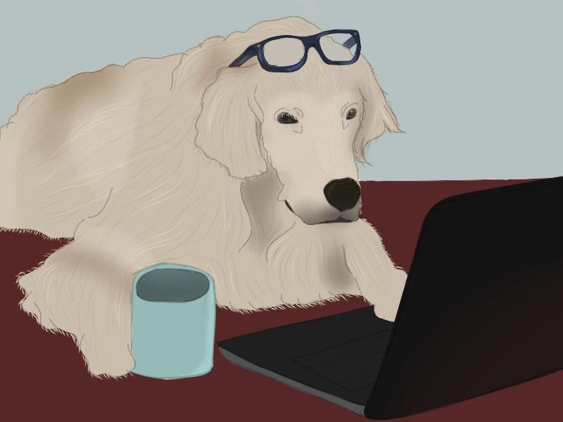 Giornata da cane scritta da un cane