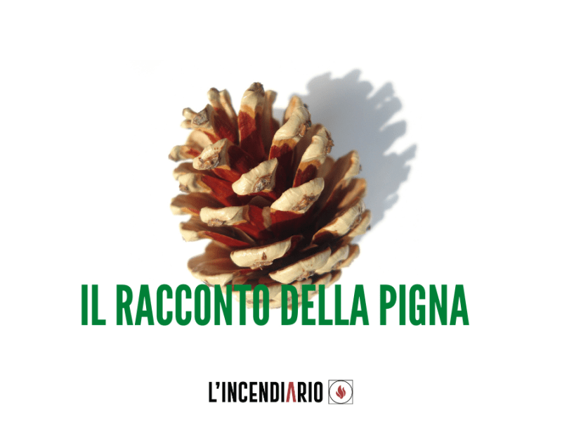Il racconto della pigna
