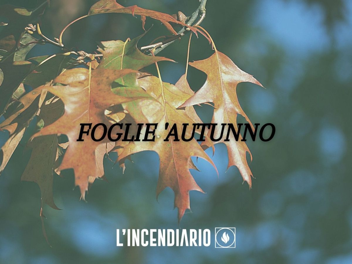 Foglie d’autunno