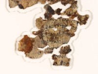 I rotoli del Mar Morto: una nuova scoperta