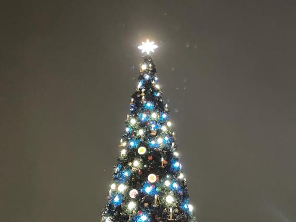 Il Natale (solidale) che vorrei