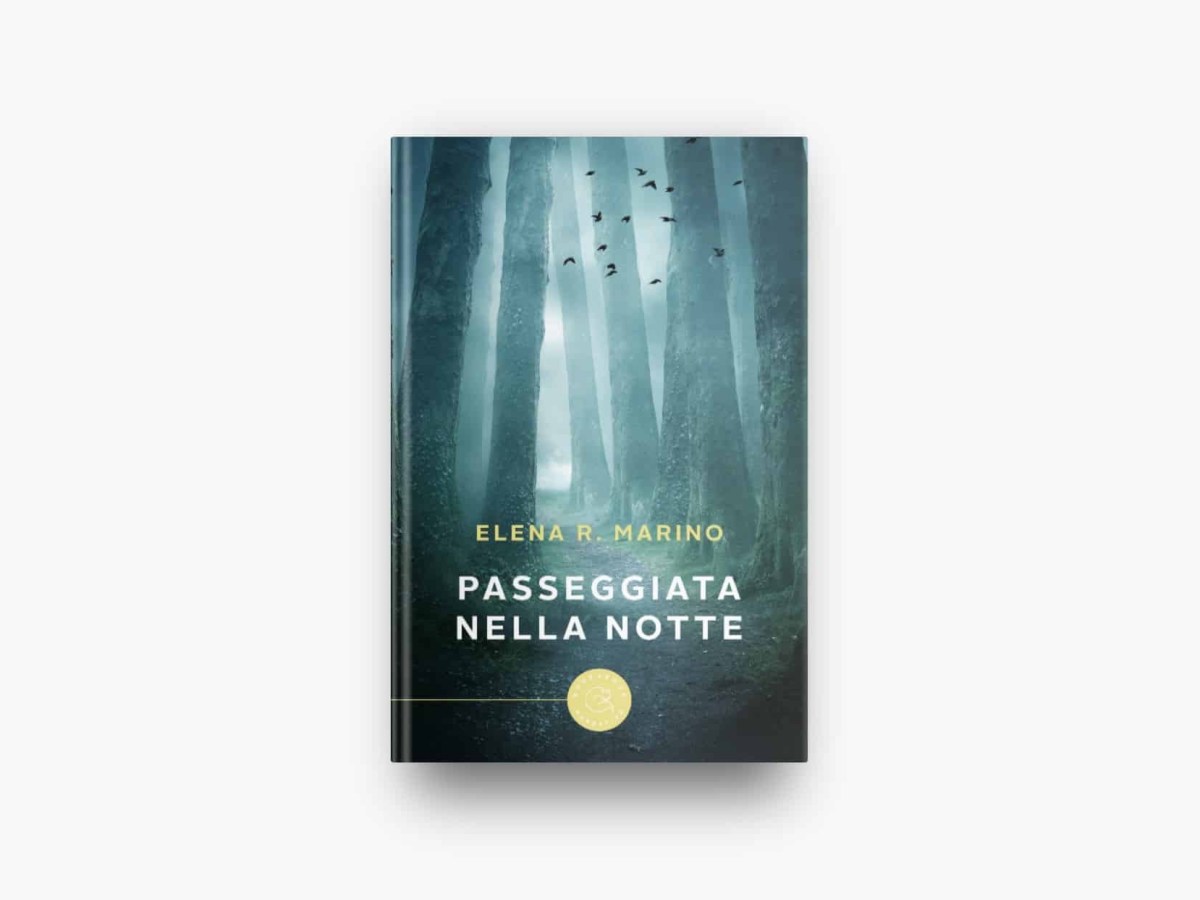 “Passeggiata nella notte” (Bookabook, 2022) di Elena R. Marino – Recensione