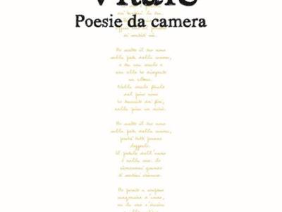 Poesie da camera: Intervista a Biagio Vitale